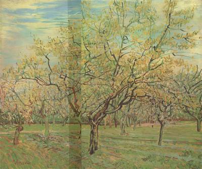 Vincent Van Gogh The White Orchard (nn04) France oil painting art